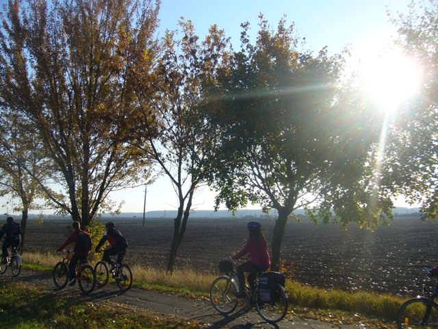 2012. 10. Kötegyán- Geszt 035.JPG
